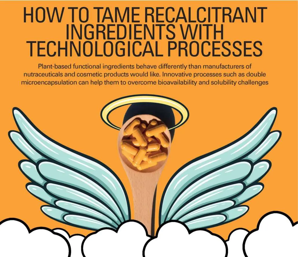 Seiten aus 2021-08_Glatt_FA_113_How to Tame Recalcitrant Ingredients with Technological Processes_NBR_2021-08-2a